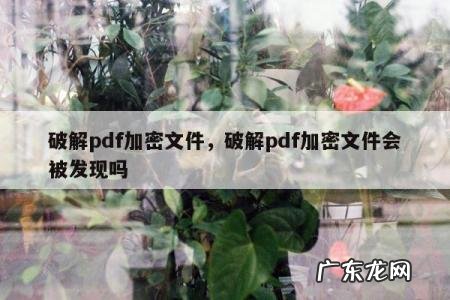 破解pdf加密文件,破解pdf加密文件会被发现吗