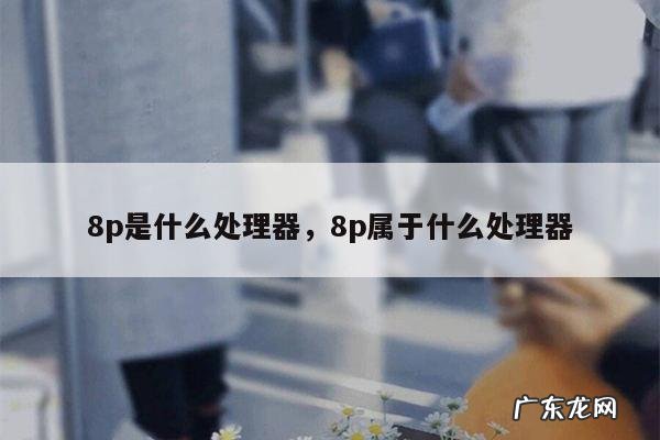8p是什么处理器,8p属于什么处理器