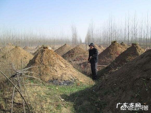 祖坟是指哪一代先人的坟墓?