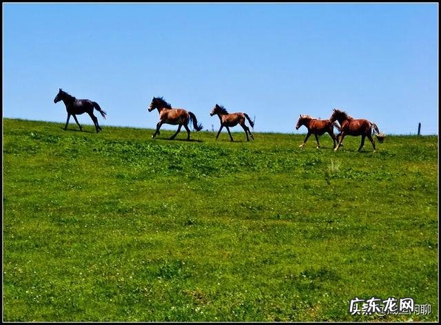 蒙古族八大禁忌是什么?