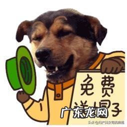 女朋友要死要活非要打HPV疫苗，怎么办？