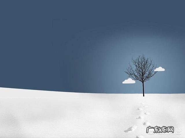 你摘抄过什么样的优美或凄凉的句子，可以使自己潸然泪下？