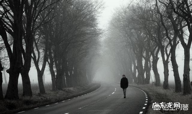 你摘抄过什么样的优美或凄凉的句子,可以使自己潸然泪下?