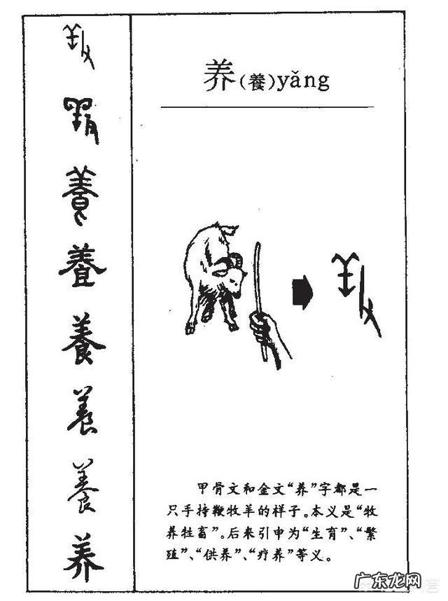 你有什么行之有效的学习方法可以分享,如何养成良好的学习习惯?