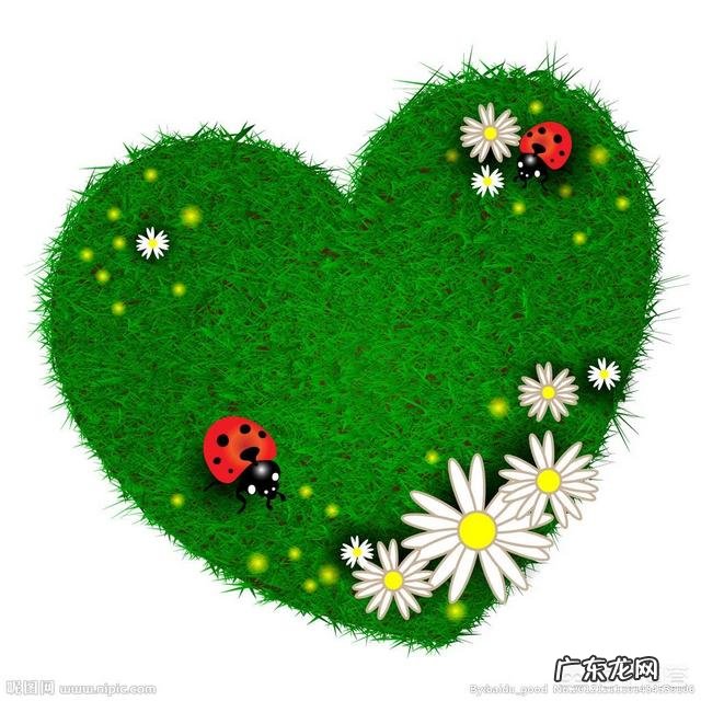 雾霾天气会给人类带来什么好处吗?