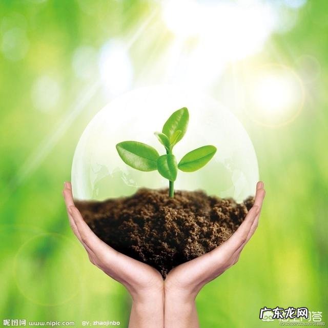 雾霾天气会给人类带来什么好处吗?