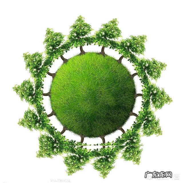 雾霾天气会给人类带来什么好处吗?