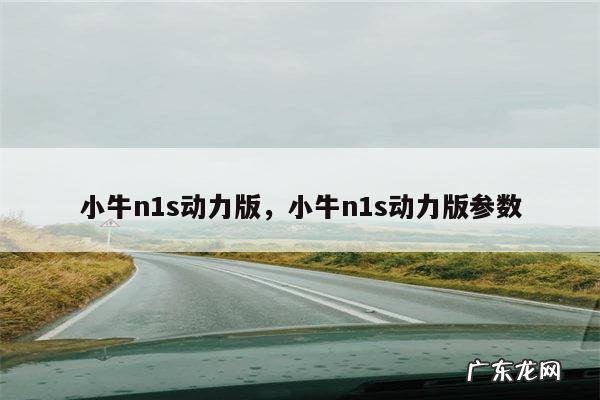 小牛n1s动力版,小牛n1s动力版参数