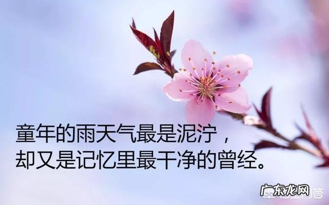 带图片的 有哪些一句话感悟人生的说说?