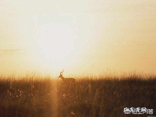 拍电影、小视频的导演应该掌握哪些摄影知识?