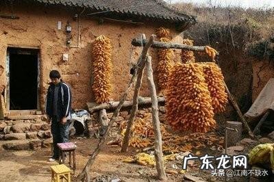 B站《后浪》爆火,为什么引起大量年轻人消极态度?