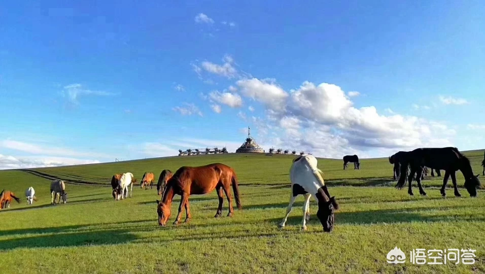 中国最给力的八条自驾游路线,你会选择哪一条?