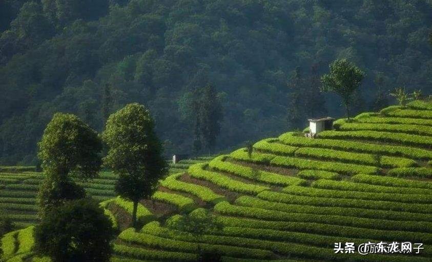 中国最给力的八条自驾游路线,你会选择哪一条?