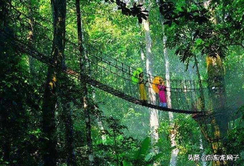 中国最给力的八条自驾游路线,你会选择哪一条?