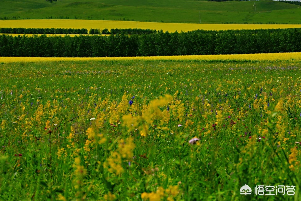 中国最给力的八条自驾游路线,你会选择哪一条?
