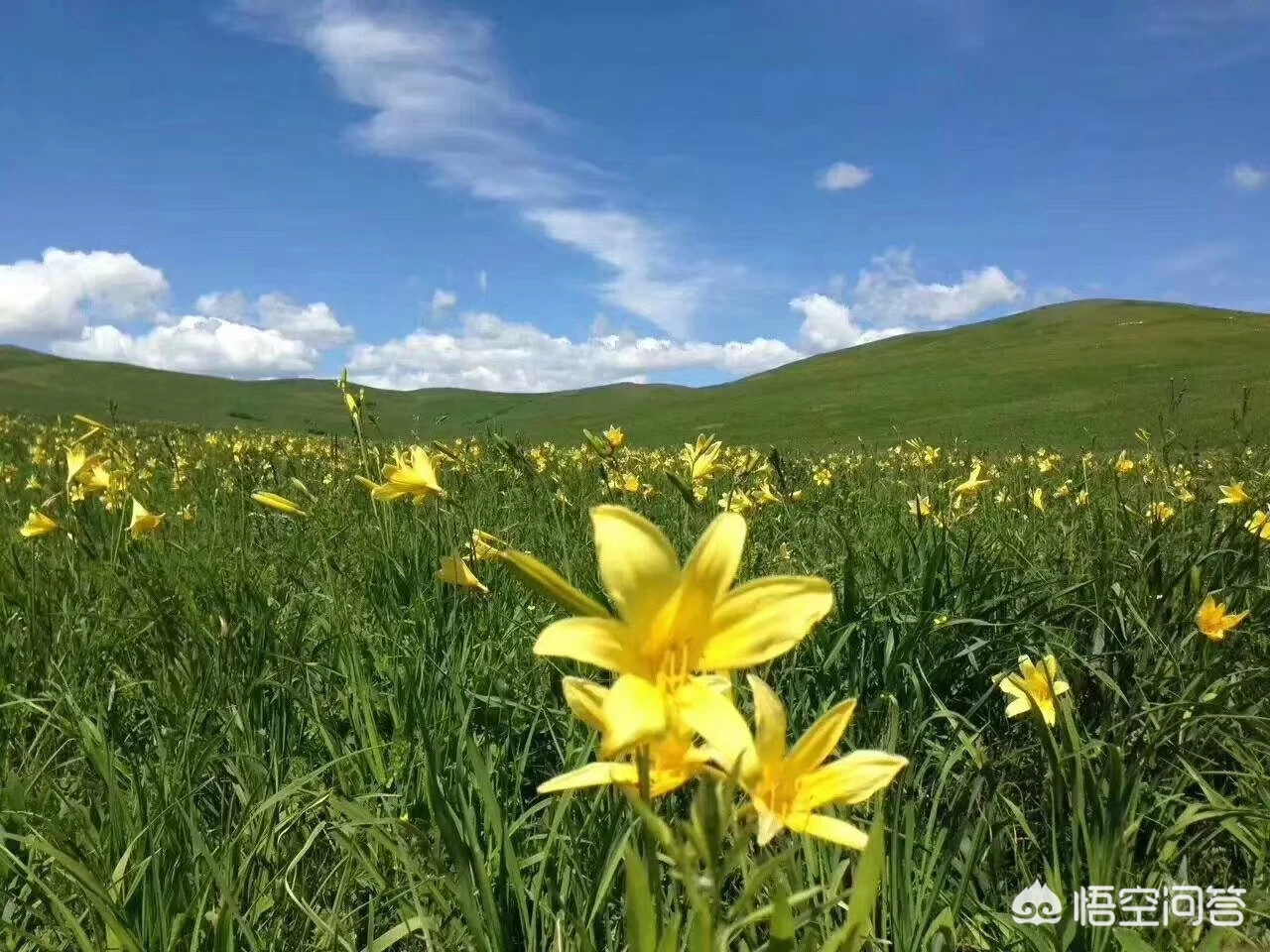 中国最给力的八条自驾游路线,你会选择哪一条?