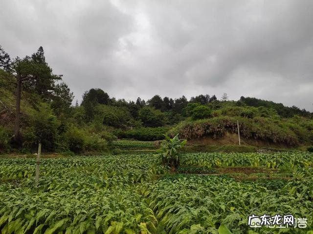 人际交往太差怎么办？