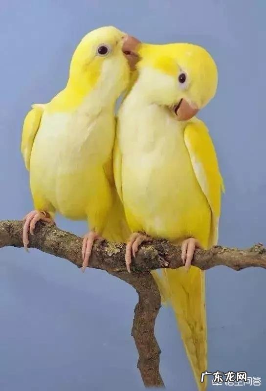 谈恋爱的男生需要独立的空间和生活吗?