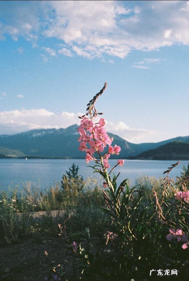 有哪些文艺且积极向上的句子?