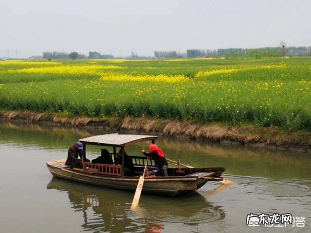 最美花海长什么样?