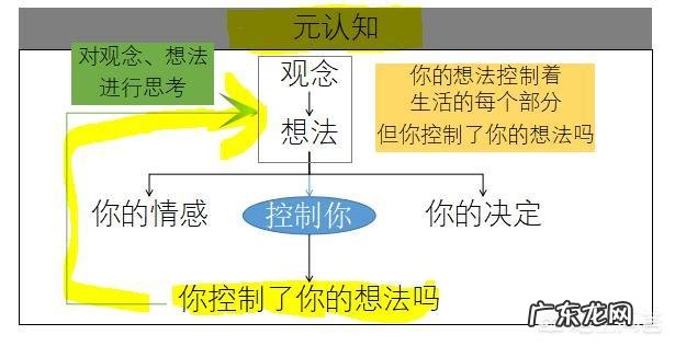 你对元认知的理解是什么?