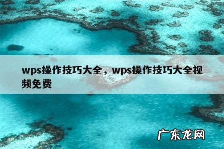 wps操作技巧大全,wps操作技巧大全视频免费
