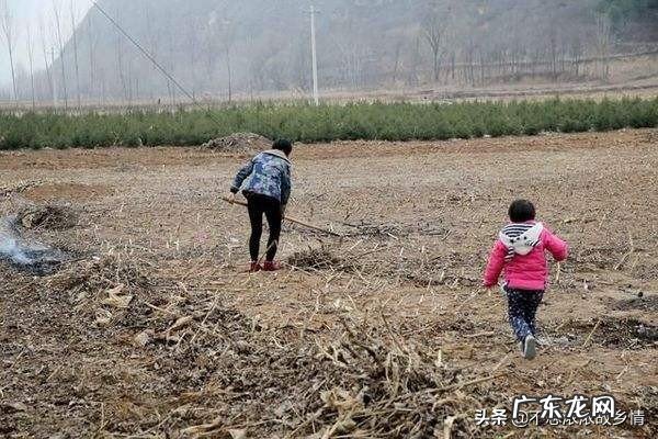 你能写一个珍惜眼前人的故事吗?