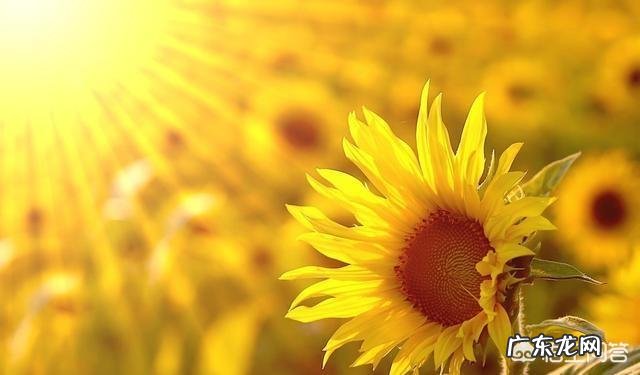 失恋后,男生最适合做什么?