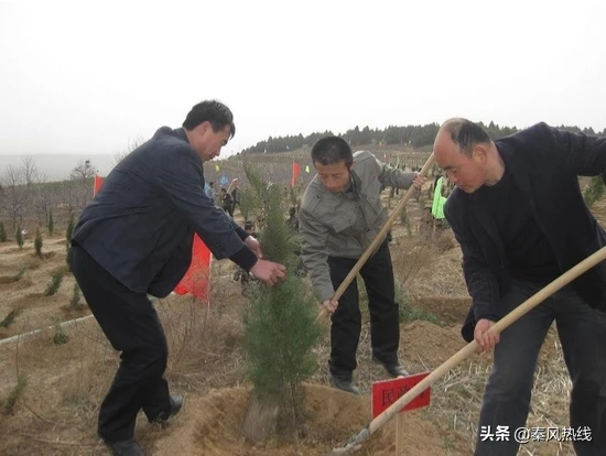 你参加过植树节植树活动吗?
