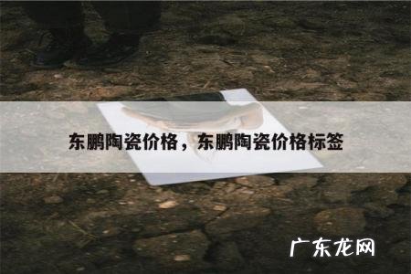 东鹏陶瓷价格,东鹏陶瓷价格标签