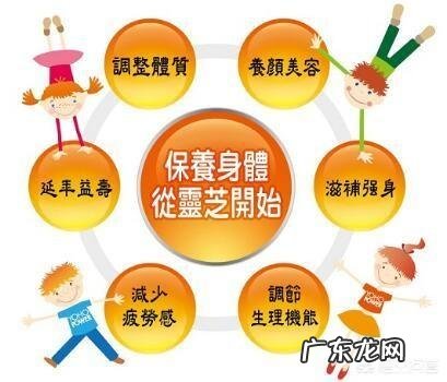 灵芝孢子粉有什么好处?