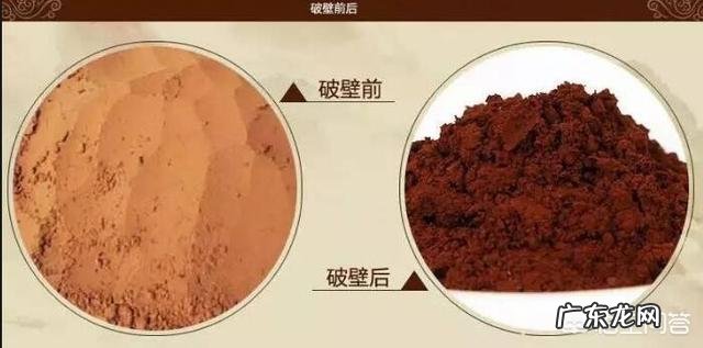 灵芝孢子粉有什么好处?