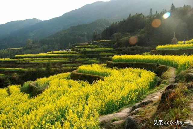 上联:春回大地地回春,下联怎么对?