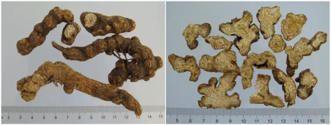 麸炒苍术的功效与用量 麸炒苍术和苍术的区别