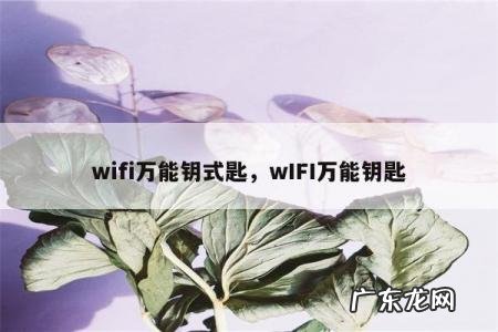 wifi万能钥式匙，wIFI万能钥匙