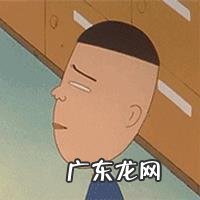 为什么这么多人喜欢樱桃小丸子？