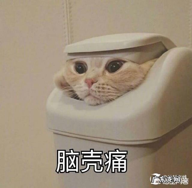 外出旅行,有哪些东西是必带的?