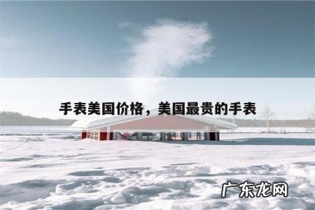 手表美国价格,美国最贵的手表