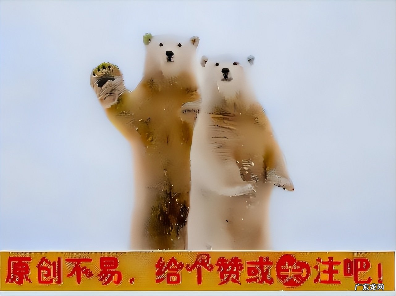 为何热议的事,比如陈春花野鸡门事件,最终结果总是出乎意料?