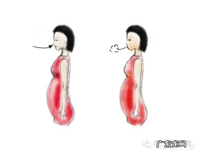 孕期应该做哪些准备?学习哪些知识?