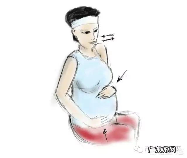 孕期应该做哪些准备?学习哪些知识?