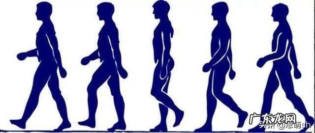 怎么快速减肥,想要减掉肚子和小腿的肉?