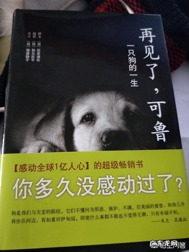 2019年上半年你计划阅读几本书?