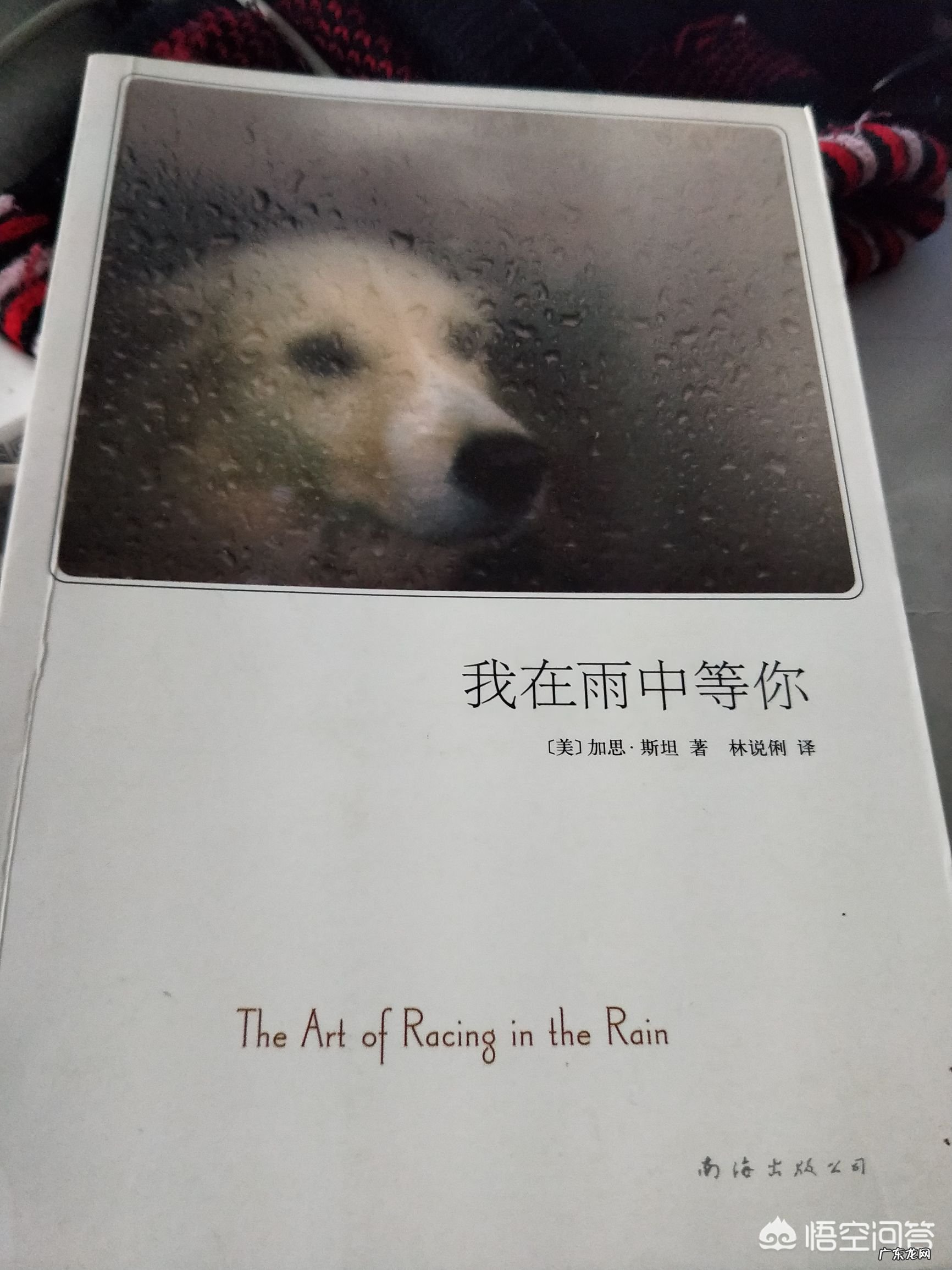 2019年上半年你计划阅读几本书?