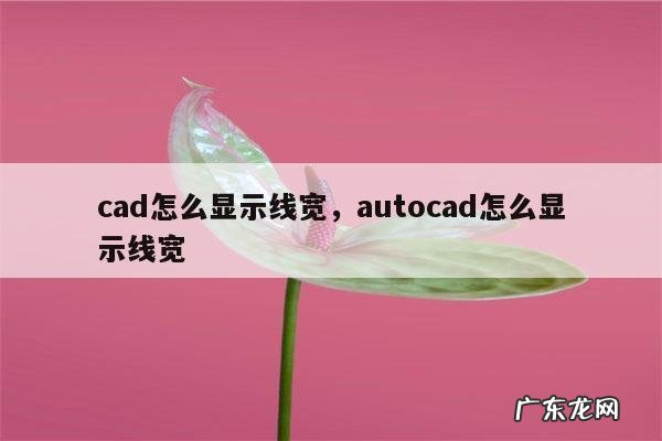 cad怎么显示线宽，autocad怎么显示线宽