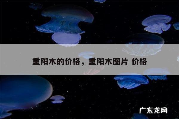 重阳木的价格,重阳木图片 价格