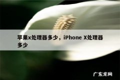 苹果x处理器多少，iPhone X处理器多少