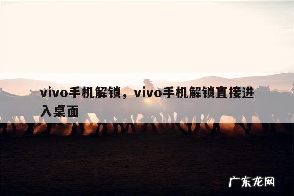 vivo手机解锁,vivo手机解锁直接进入桌面