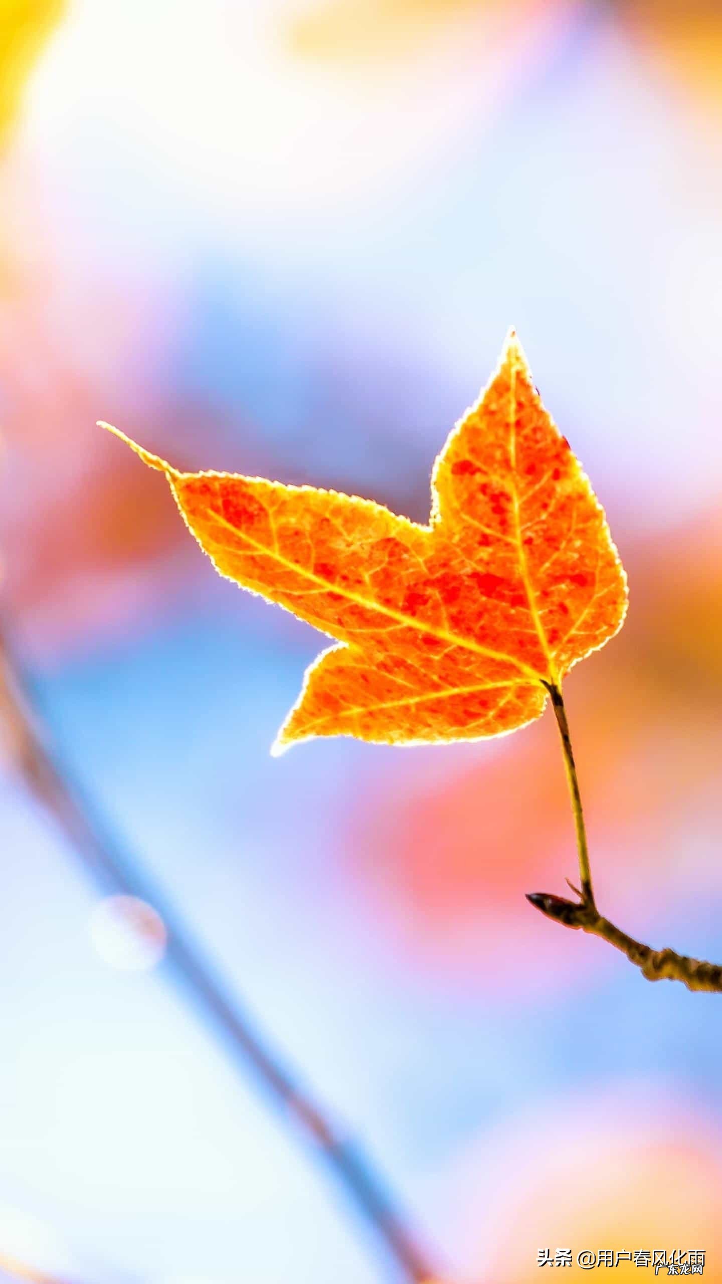 你们的微信签名都写过什么句子呢?