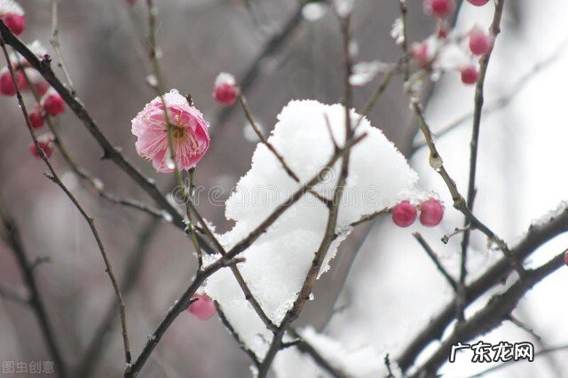 以“过年”为主题写一首年味小诗,怎么写呢?